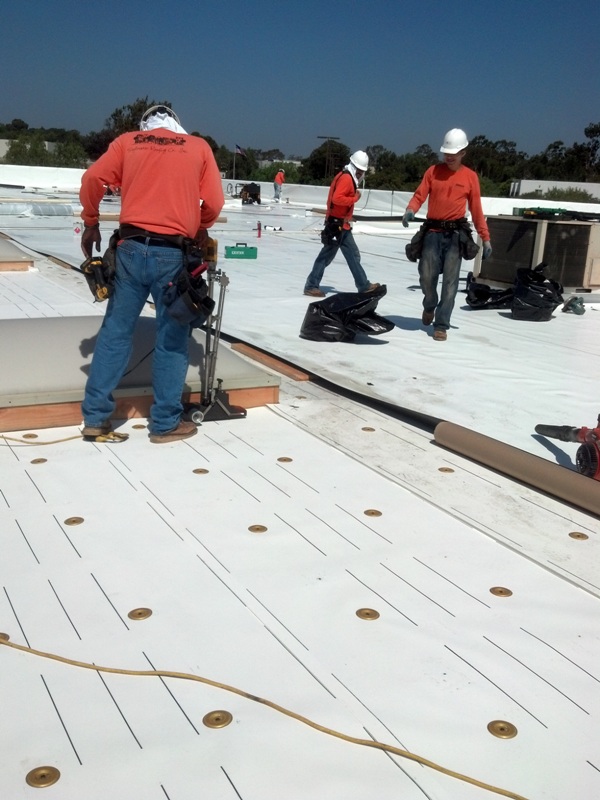 Roofers on Commercial Project